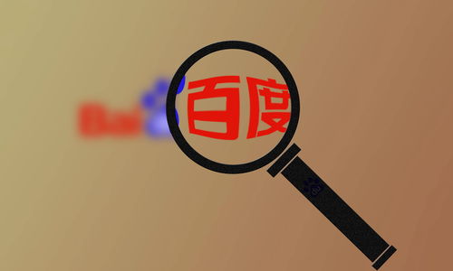 网络爬虫蜘蛛池